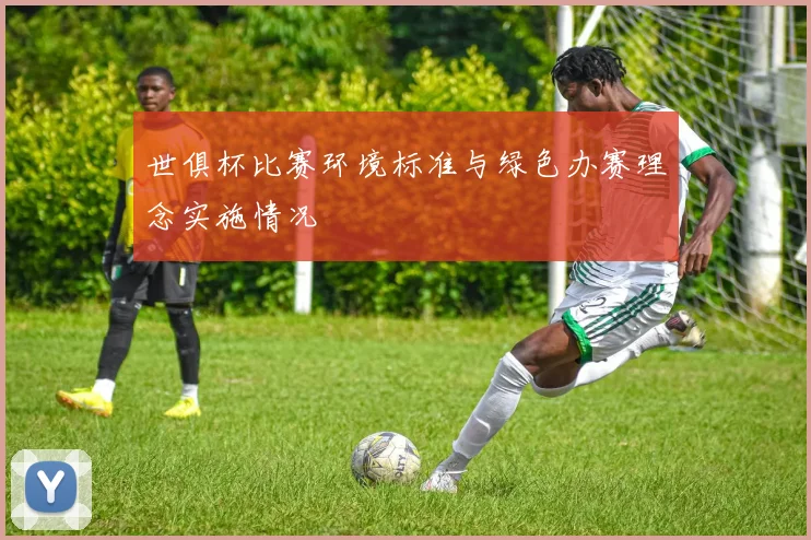 世俱杯比赛环境标准与绿色办赛理念实施情况