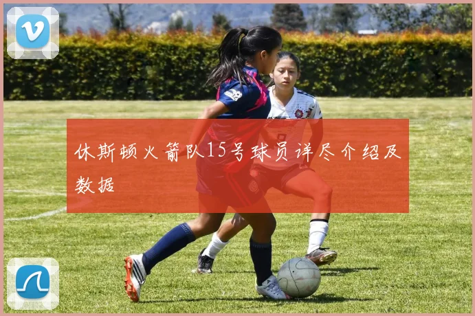 休斯顿火箭队15号球员详尽介绍及数据