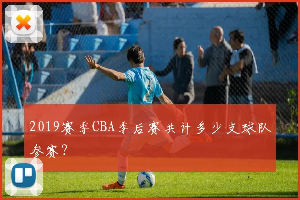 2019赛季CBA季后赛共计多少支球队参赛?